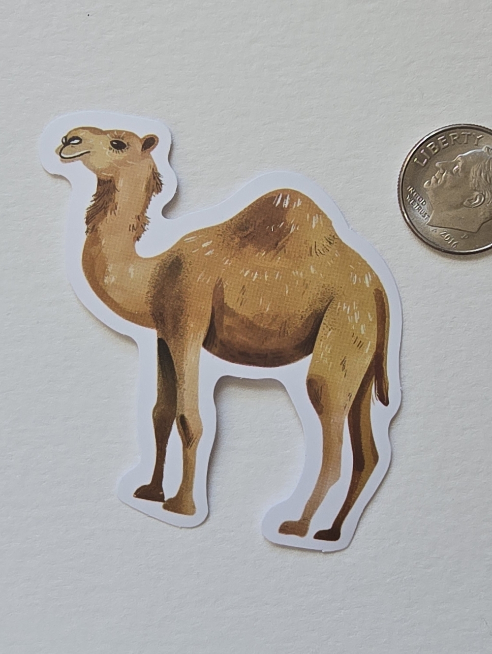 10/$10 Camel Sticker - Picture 2 of 2